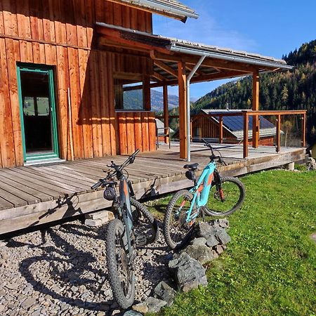 Chalet Alpenglöckchen Stadl an der Mur Exterior foto